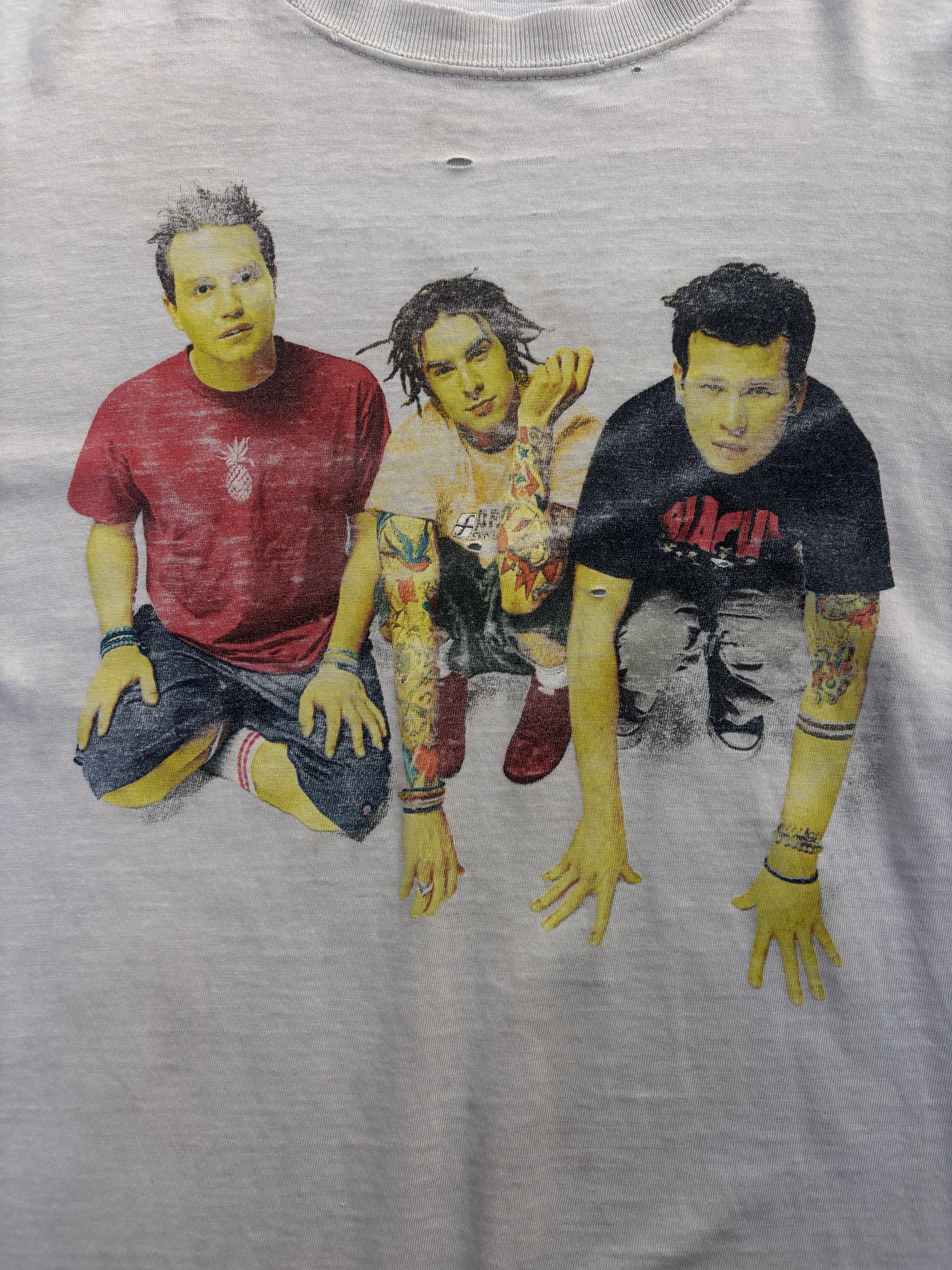 2000 Blink 182 Tour T shirt