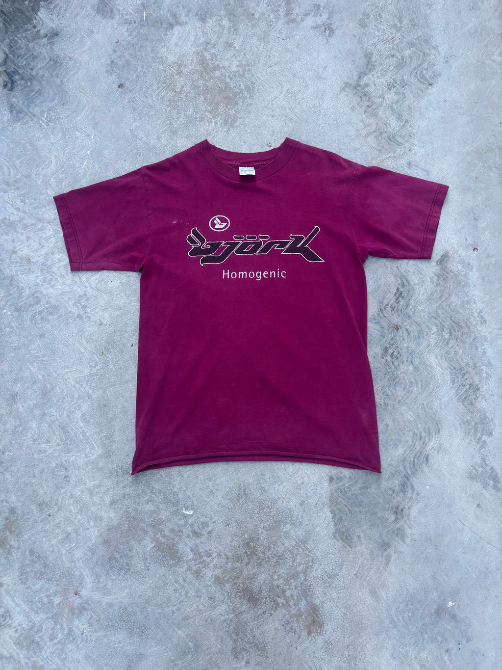 90s Bjork Homogenic T Shirt